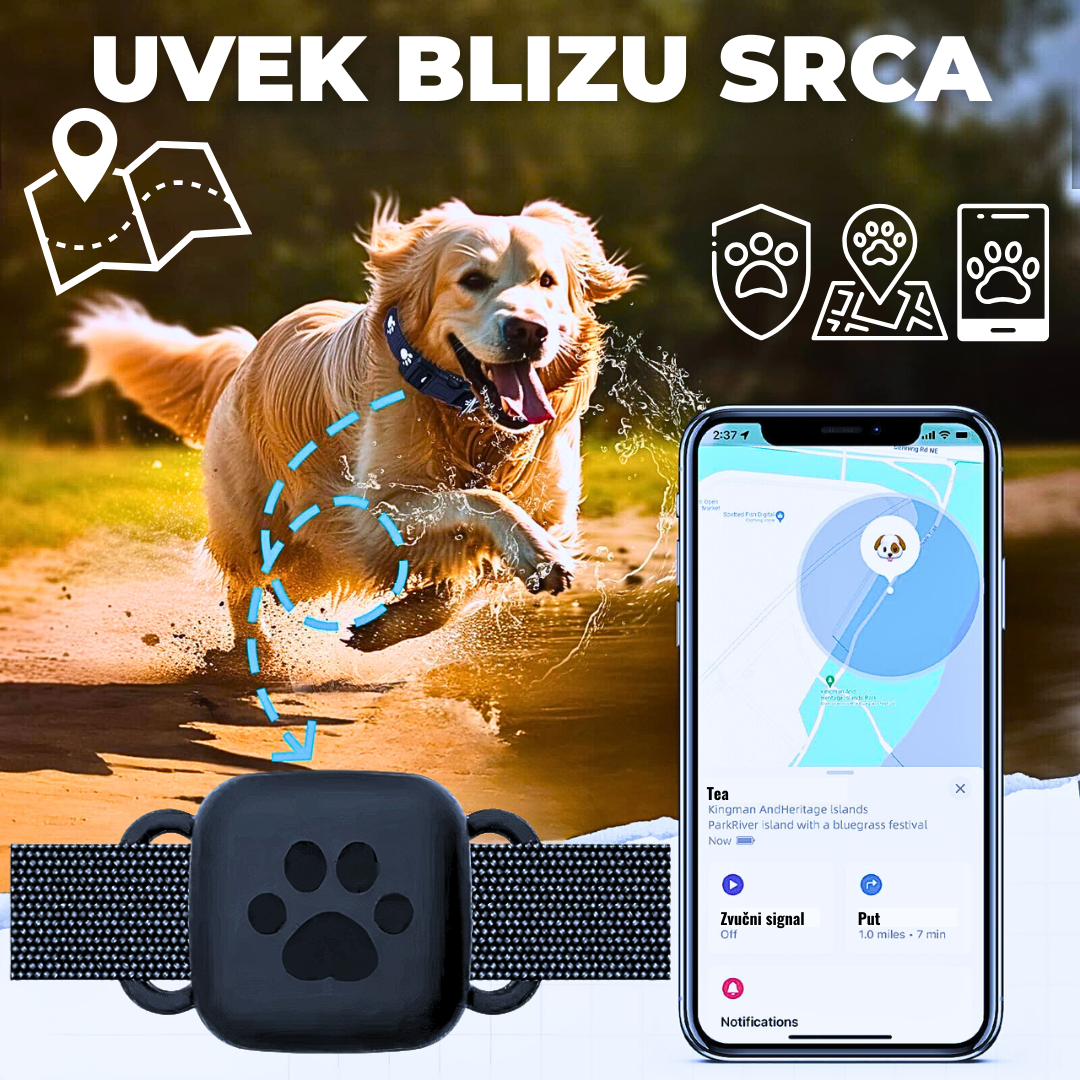 Moćna GPS Ogrlica za Sigurnost