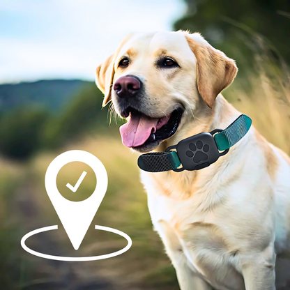 Moćna GPS Ogrlica za Sigurnost